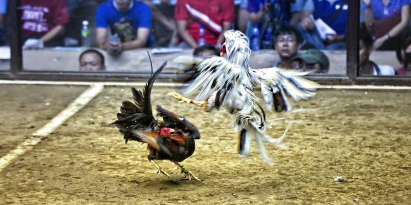 99ok1 ﻿đăng nhập lô đề uy tín