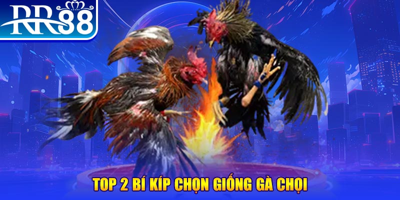 99ok1 bắn cá h5