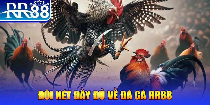 99ok1 gà chọi hoà phong