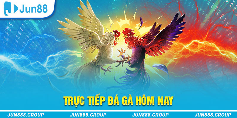 99ok1 trực tiếp đá gà thomo