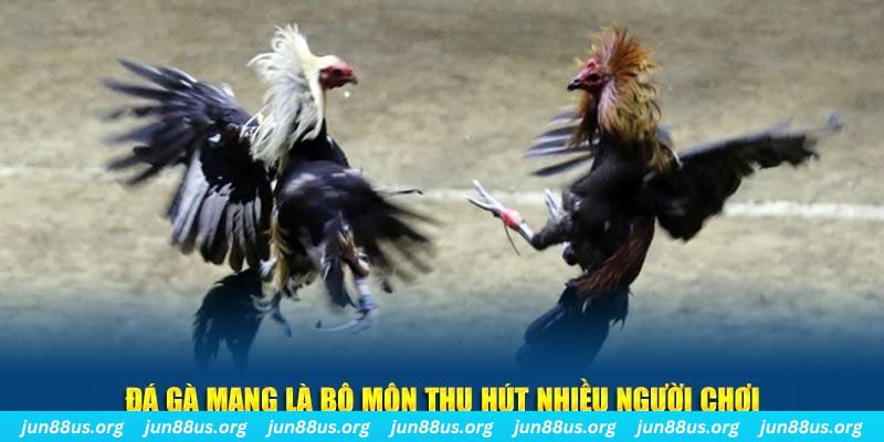 99ok1 xổ số long an