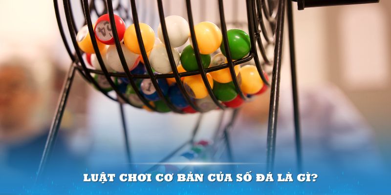 99ok1 Đĩa màu ace