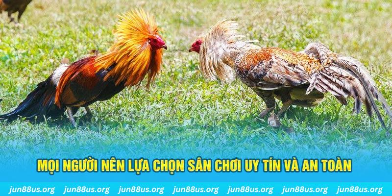 99ok1 Tài Xỉu