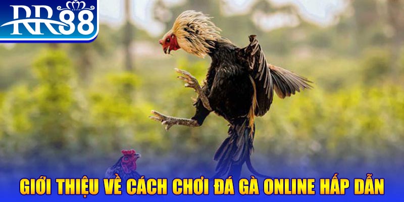 99ok1 what is a video slot