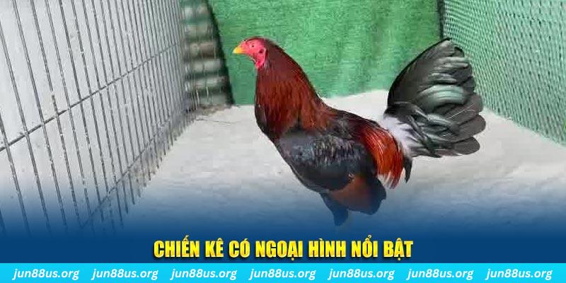 99ok1 nhạc slot là gì